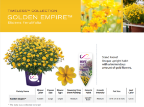 Golden Empire™