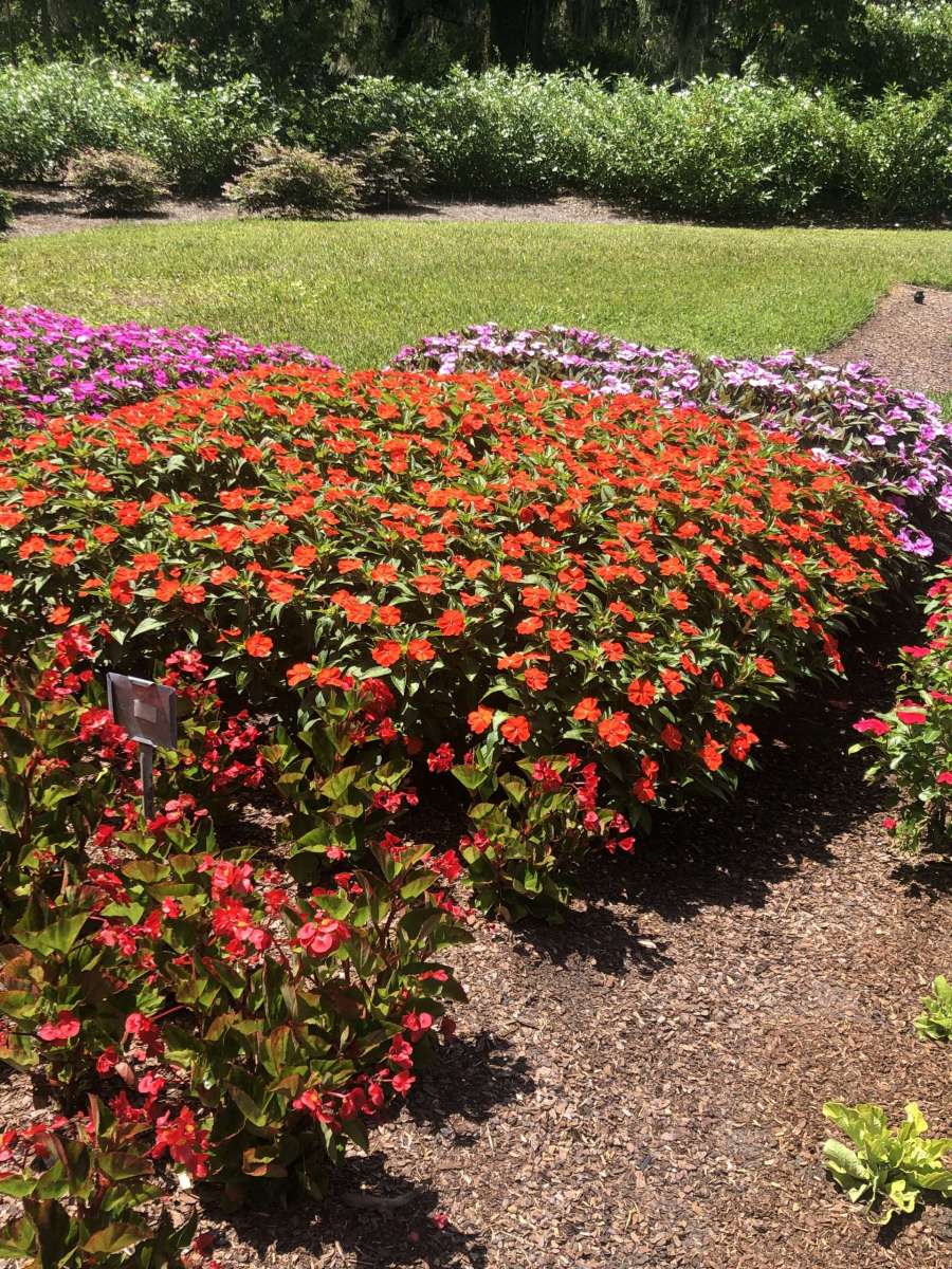 Harmony® Colorfall™ Neon Red