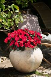 Harmony® Colorfall™ Neon Red