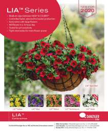Lia™ Dark Red