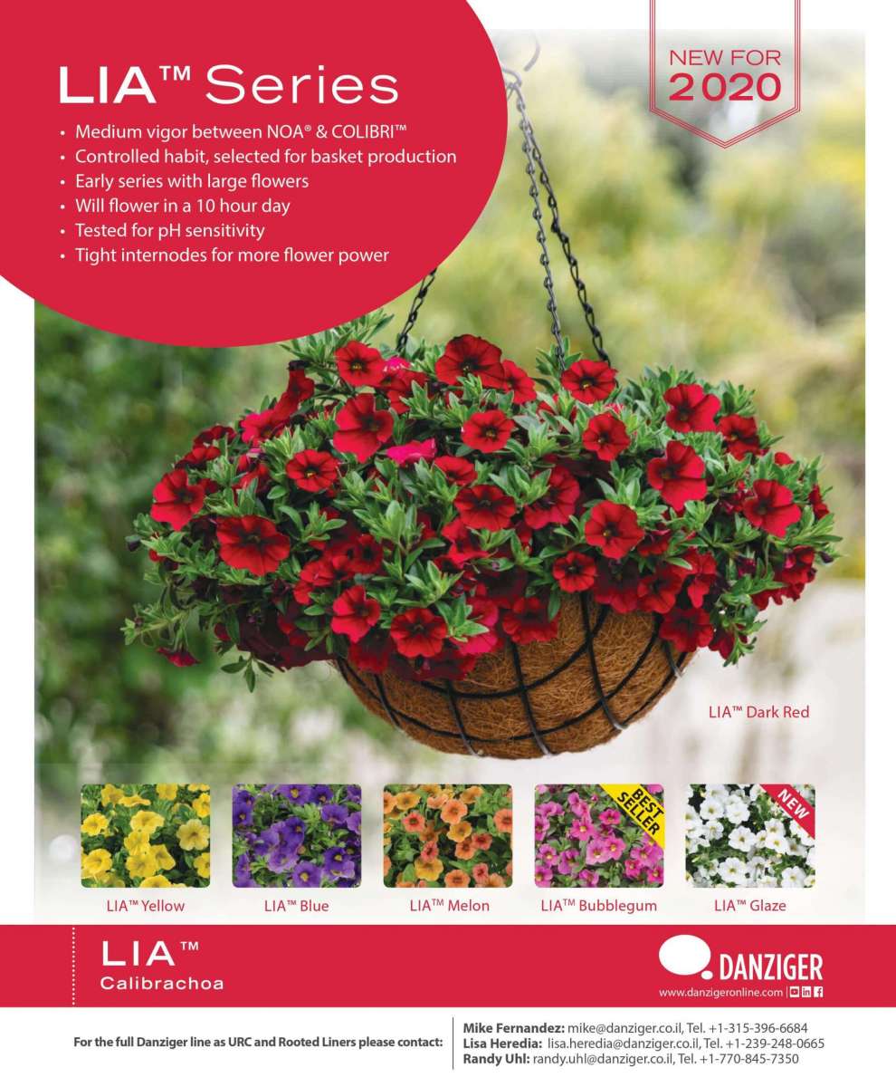Lia™ Dark Red