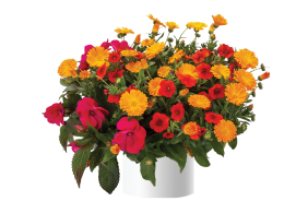 Birthday Bouquet™