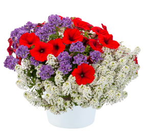 Birthday Bouquet™