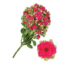 KALANCHOE CUTFLOWERS™ PINK