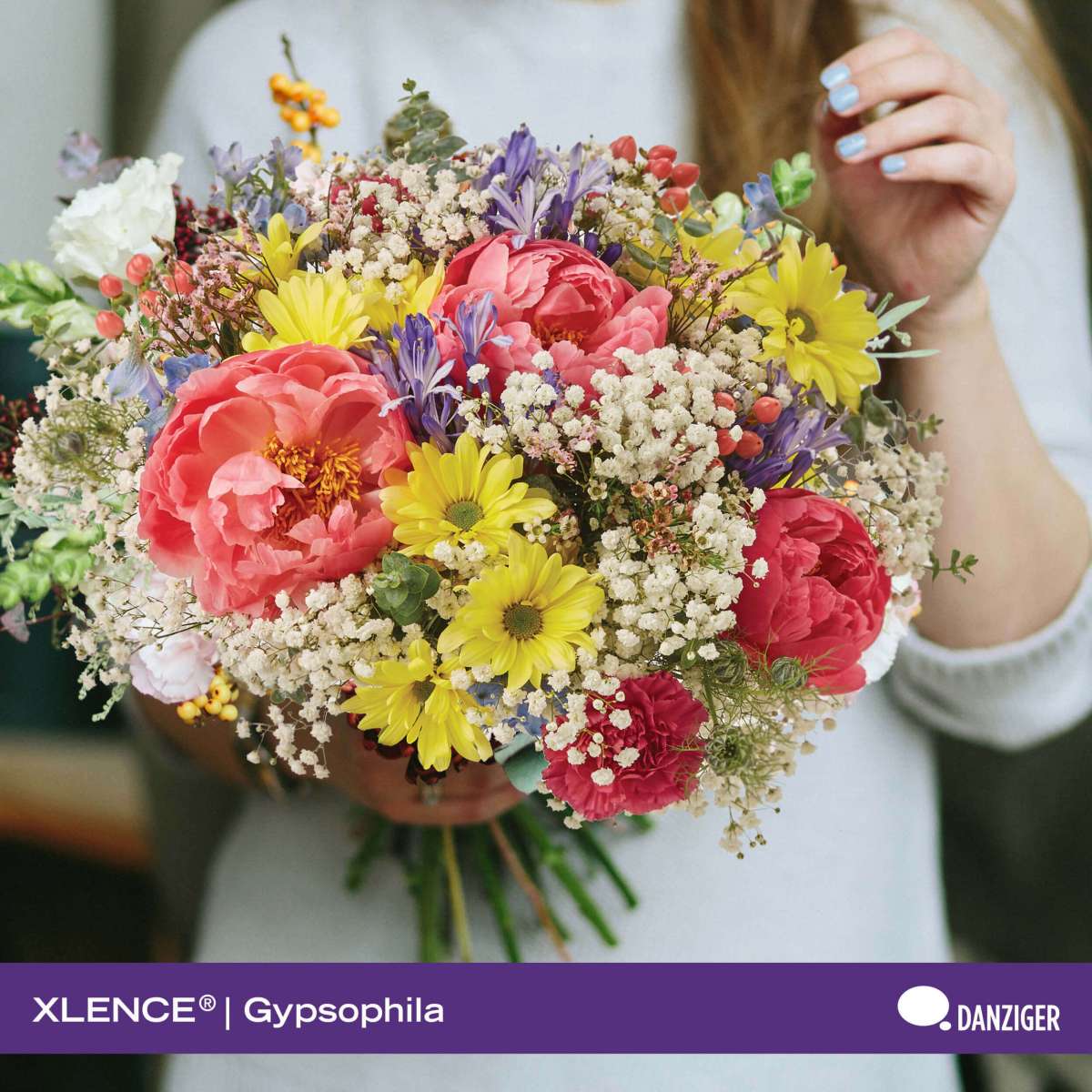 XLENCE®