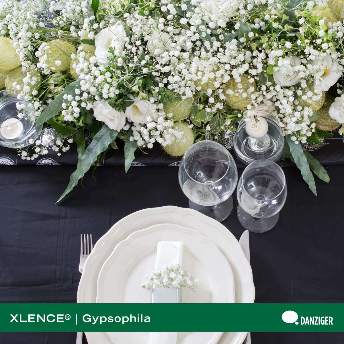 XLENCE®