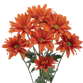 ATLANTIS™ ORANGE