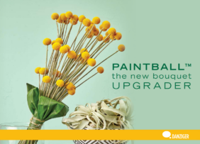 PAINTBALL™ GLOBE
