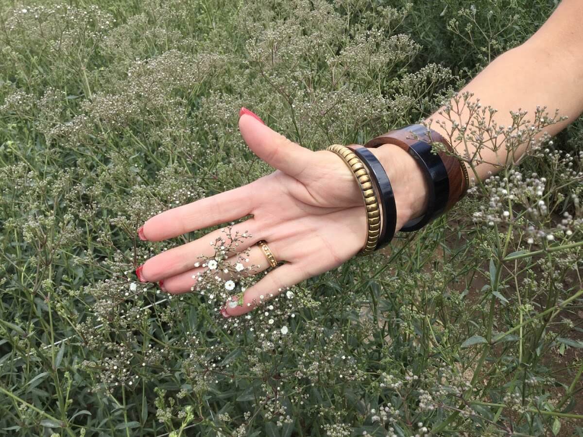 MILLION STARS® II