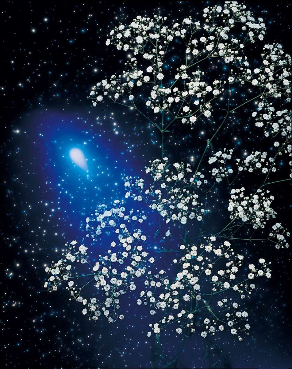 MILLION STARS®