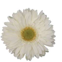 PETIT PLAIN™
