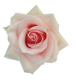 SENTI™ ROMANTIC TOUCH COLOMBIA