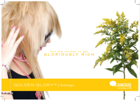 GOLDEN GLORY™