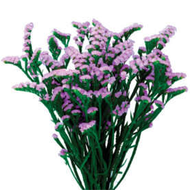 SPACE™ LAVENDER