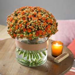 KALANCHOE CUTFLOWERS™ ORANGE