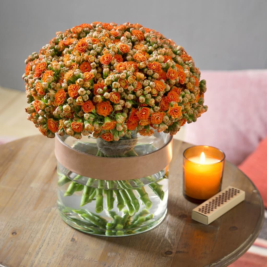KALANCHOE CUTFLOWERS™ ORANGE