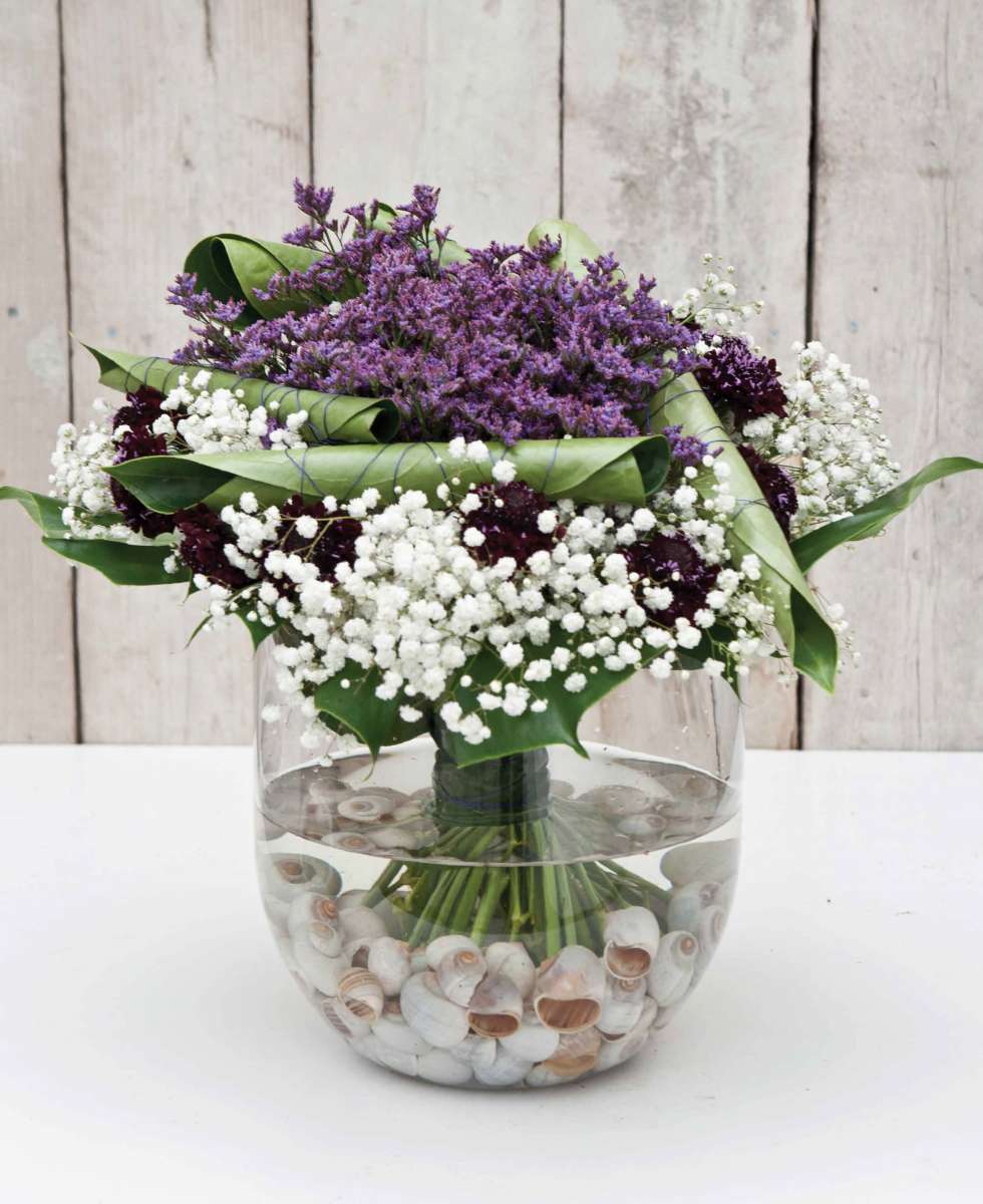 SAFORA™ BLUE-TIFUL