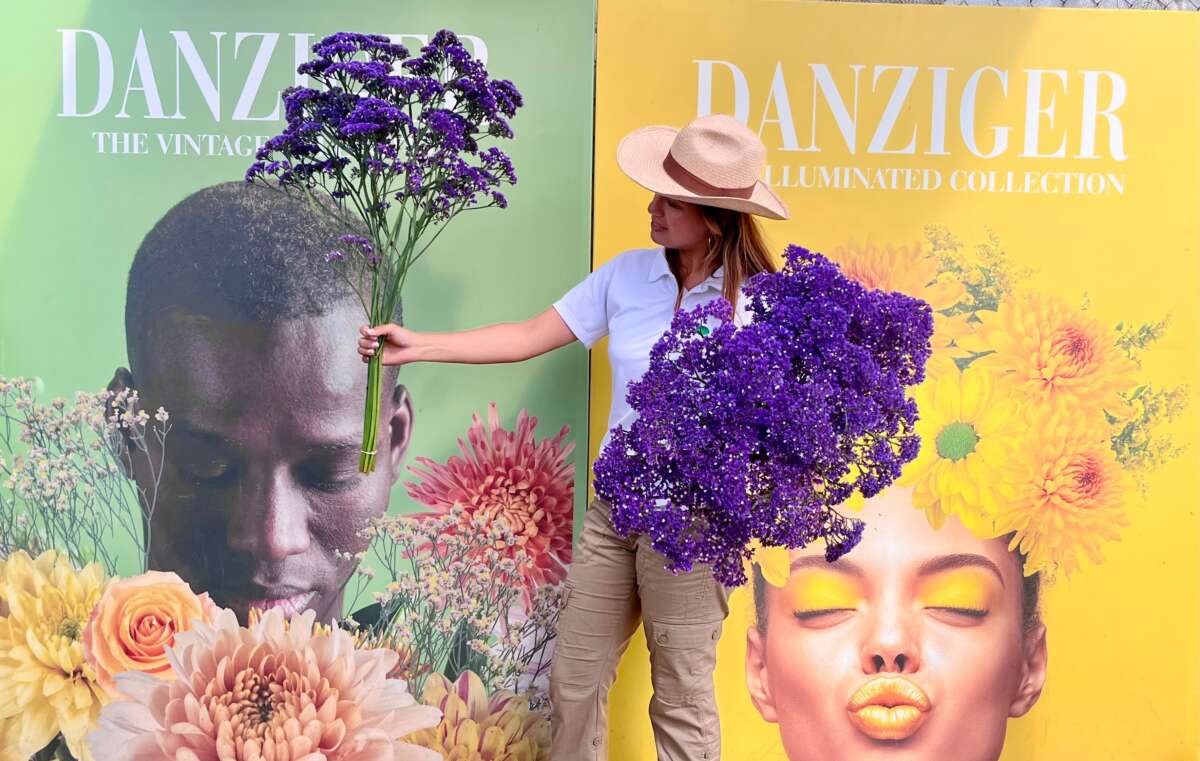 ENCHANTÉ™