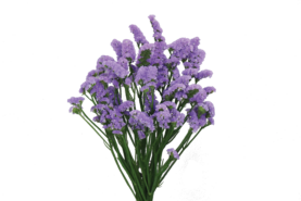 SUPERTA™ BLUE