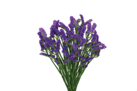 SUPERTA™ DARK BLUE