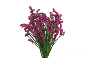 SUPERTA™ PURPLE