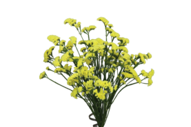 SUPERTA™ YELLOW