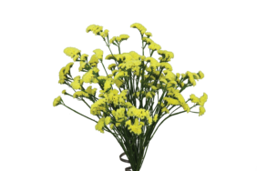 SUPERTA™ YELLOW
