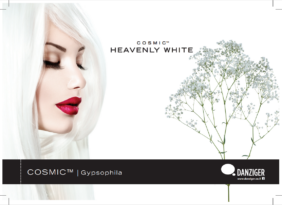 MY WHITE COSMIC™