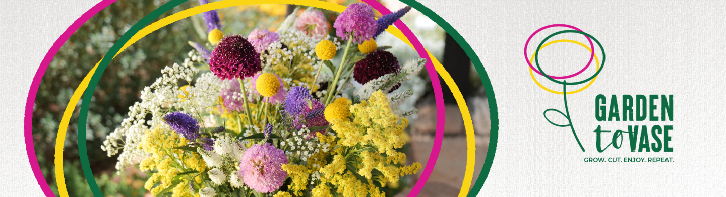 Grow your own bouquet