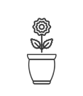 Single small pots 