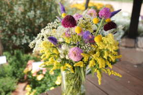 Garden to Vase